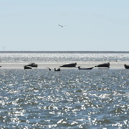 Daire Gmelinstrasse 27 *